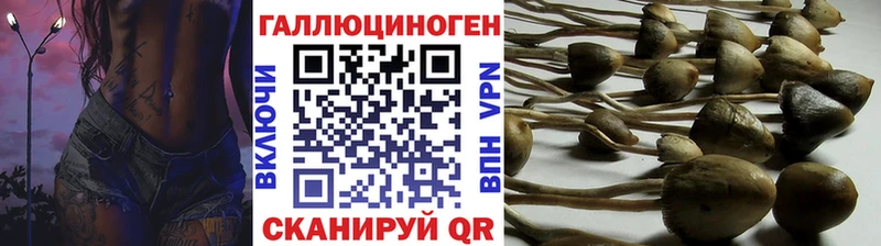 Псилоцибиновые грибы мицелий купить сайты Мегион